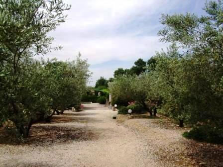 locations gite saint remy de provence